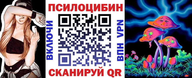 Псилоцибиновые грибы Psilocybe Сосновоборск