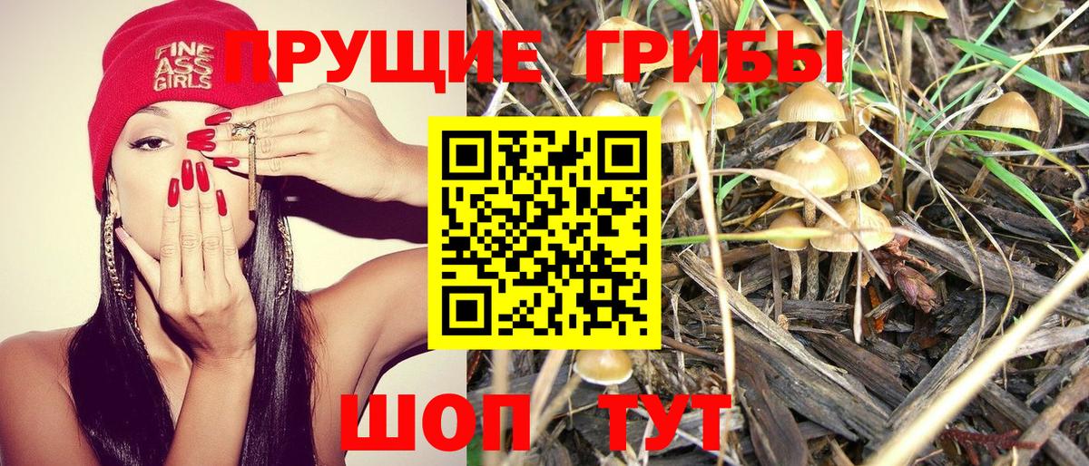 Псилоцибиновые грибы MAGIC MUSHROOMS  Галлюциногенные грибы ЛСД  Сосновоборск  Вход с VPN 